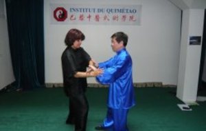 STAGE DE TAI-JI ,QI GONG AVEC LE GRAND MAÎTRE JIAN