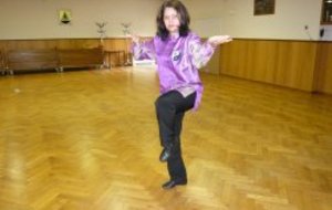 REPRISE ET PORTES OUVERTES DE TAIJI ,GI GONG 