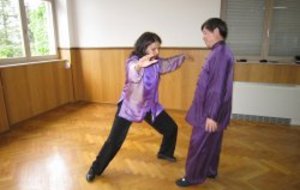 STAGE DE TAI JI-QI GONG AVEC LE GRAND MAÎTRE JIAN