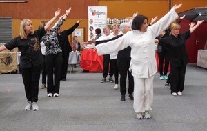 ACAMA ALSACE REPRISE DES COURS 2026/2027 LE 16 SEPTEMBRE