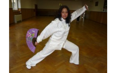 L'EVENTAIL DU TAI JI STYLE CHEN