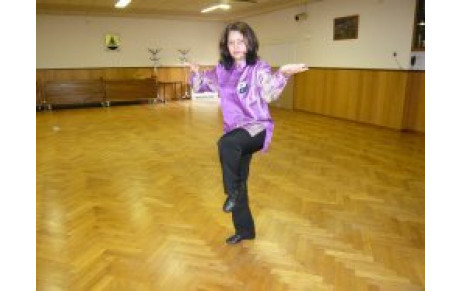 REPRISE ET PORTES OUVERTES DE TAIJI ,GI GONG 