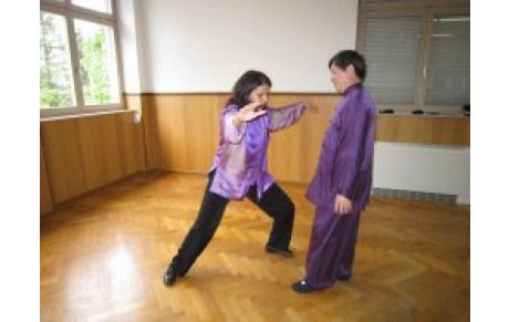 STAGE DE TAI JI-QI GONG AVEC LE GRAND MAÎTRE JIAN
